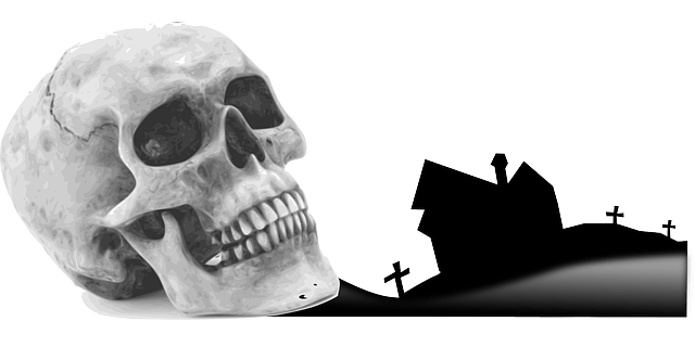 Tienda online de artículos con calaveras